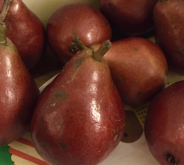 赤い梨　Red Anjou Pear