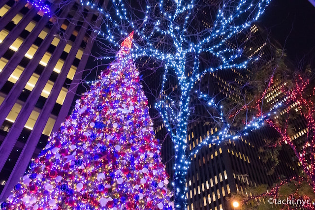 ニューヨークミッドタウン　クリスマスツリー　2021年12月2日